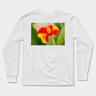 cli Daffodil Long Sleeve T-Shirt